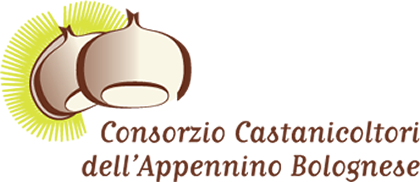 Consorzio